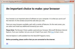 Picture of initial page of browser ballot